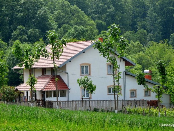 Kuća za odmor Živanović, Branevac